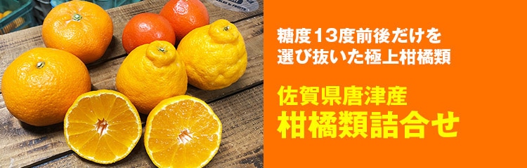 佐賀県唐津産柑橘類詰合せ